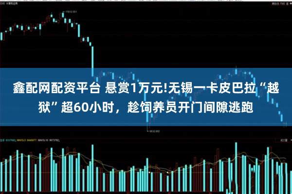 鑫配网配资平台 悬赏1万元!无锡一卡皮巴拉“越狱”超60小时，趁饲养员开门间隙逃跑