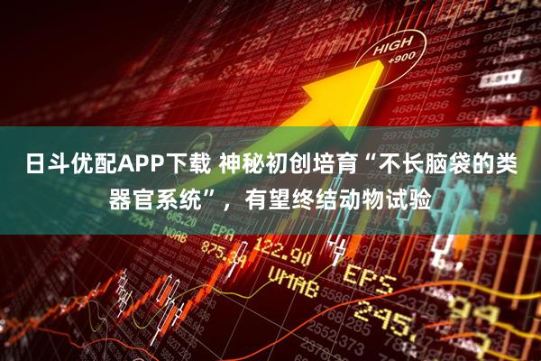 日斗优配APP下载 神秘初创培育“不长脑袋的类器官系统”，有望终结动物试验